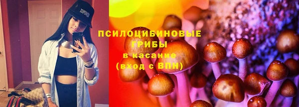СК Алексин
