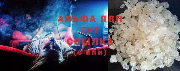 СК Алексин