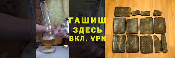 СК Алексин