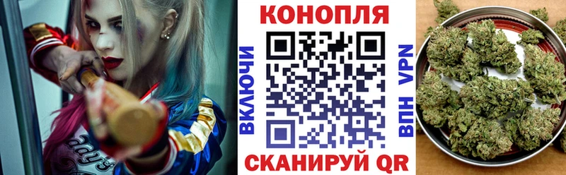 Бошки марихуана Amnesia Северская